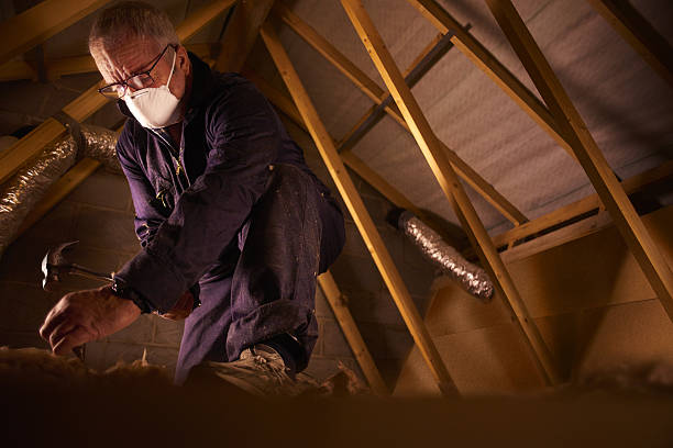 Types of Insulation We Offer in Wilsonville, OR
